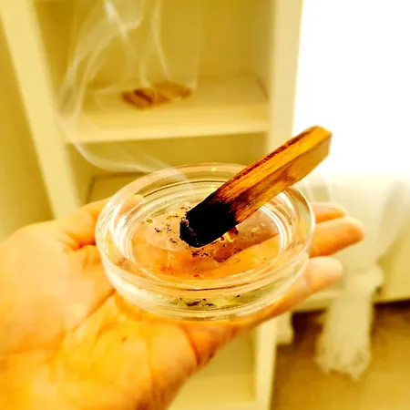 Rabaty Od 2 Nocy Cale Prywatne Mieszkanie 2 Darmowy Parking Kuchnia Lazienka Cicho Blisko Piotrkowska Galeria Sauna Park Apartamento Łódź